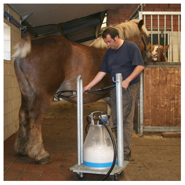 Paardenmelkerij Den Horst